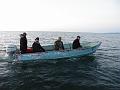 Bering Strait Crossing 280